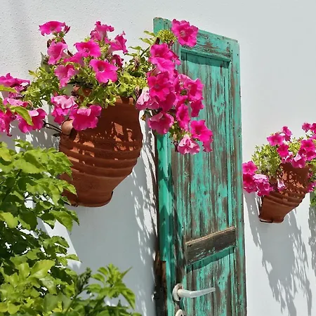 Anna Maria *
